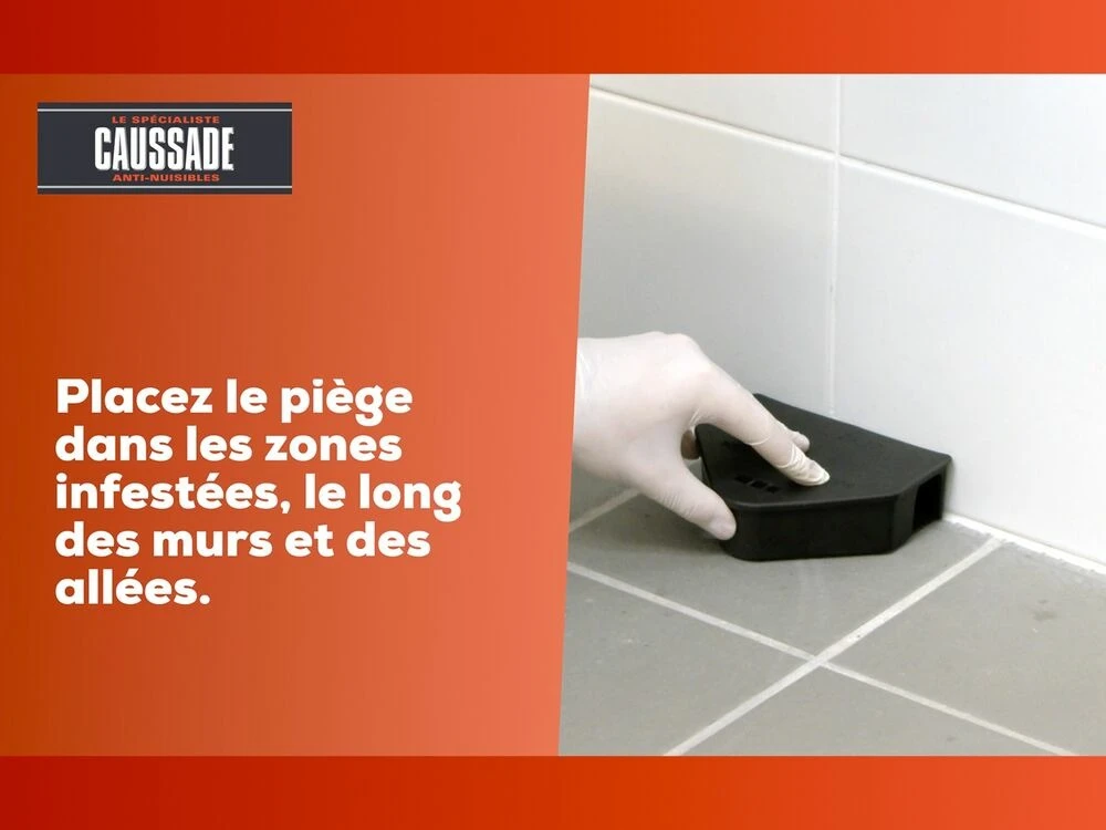 Carpt400 Raticide Canadien Forte Infestation Appât Prêt à L'emploi Nou 7 Carpt400 Raticide Canadien Forte Infestation Appât Prêt à L'emploi Nou – Image 5