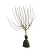 Pommier Belle De Magny : Gobelet 3 Ans D'âge Prêt à Planter 2 Pommier Belle De Magny : Gobelet 3 Ans D'âge Prêt à Planter -Seve Nature Soldes Boutique 23142 002