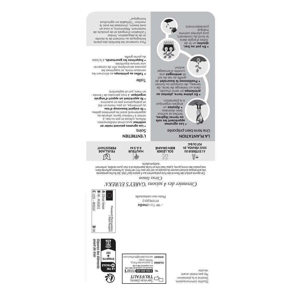 Citronnier 4 Saisons:AB Conteneur 3 Litres 4 Citronnier 4 Saisons:AB Conteneur 3 Litres – Image 2