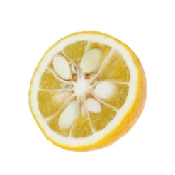 Yuzu AB:pot 3L 12 Yuzu AB:pot 3L -Seve Nature Soldes Boutique 540978 003