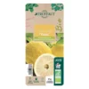 Yuzu AB:pot 3L 1 Yuzu AB:pot 3L -Seve Nature Soldes Boutique 540978 008
