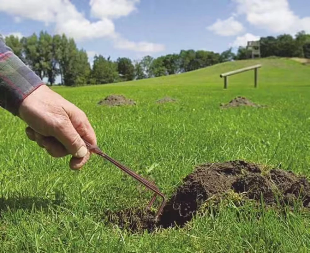 Piège à Taupes &campagnols Mole Trap - 4,5 X 15 Cm - Lot De 2 3 Piège à Taupes &campagnols Mole Trap - 4,5 X 15 Cm - Lot De 2