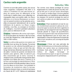 Kit De Culture - Cactus Nain Argentin - 40 Graines - Rebutia / Mix -Seve Nature Soldes Boutique 6406411347abb3.06145492
