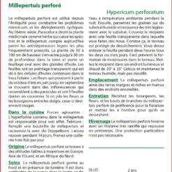 Kit De Culture - Millepertuis Perforé - 300 Graines - Hypericum Perforatum 8 Kit De Culture - Millepertuis Perforé - 300 Graines - Hypericum Perforatum -Seve Nature Soldes Boutique 64064130cc2d21.50290776