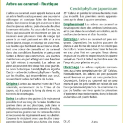 Kit De Culture - Arbre Au Caramel - 200 Graines - Cercidiphyllum Japonicum 11 Kit De Culture - Arbre Au Caramel - 200 Graines - Cercidiphyllum Japonicum -Seve Nature Soldes Boutique 64064132c9d4c4.04855019