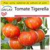 Kit De Culture - Tomate Tigerella - 10 Graines - Lycopersicon Esculentum 1 Kit De Culture - Tomate Tigerella - 10 Graines - Lycopersicon Esculentum -Seve Nature Soldes Boutique 64064139be26e2.18105117