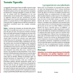Kit De Culture - Tomate Tigerella - 10 Graines - Lycopersicon Esculentum -Seve Nature Soldes Boutique 64064139cf1d13.09091706
