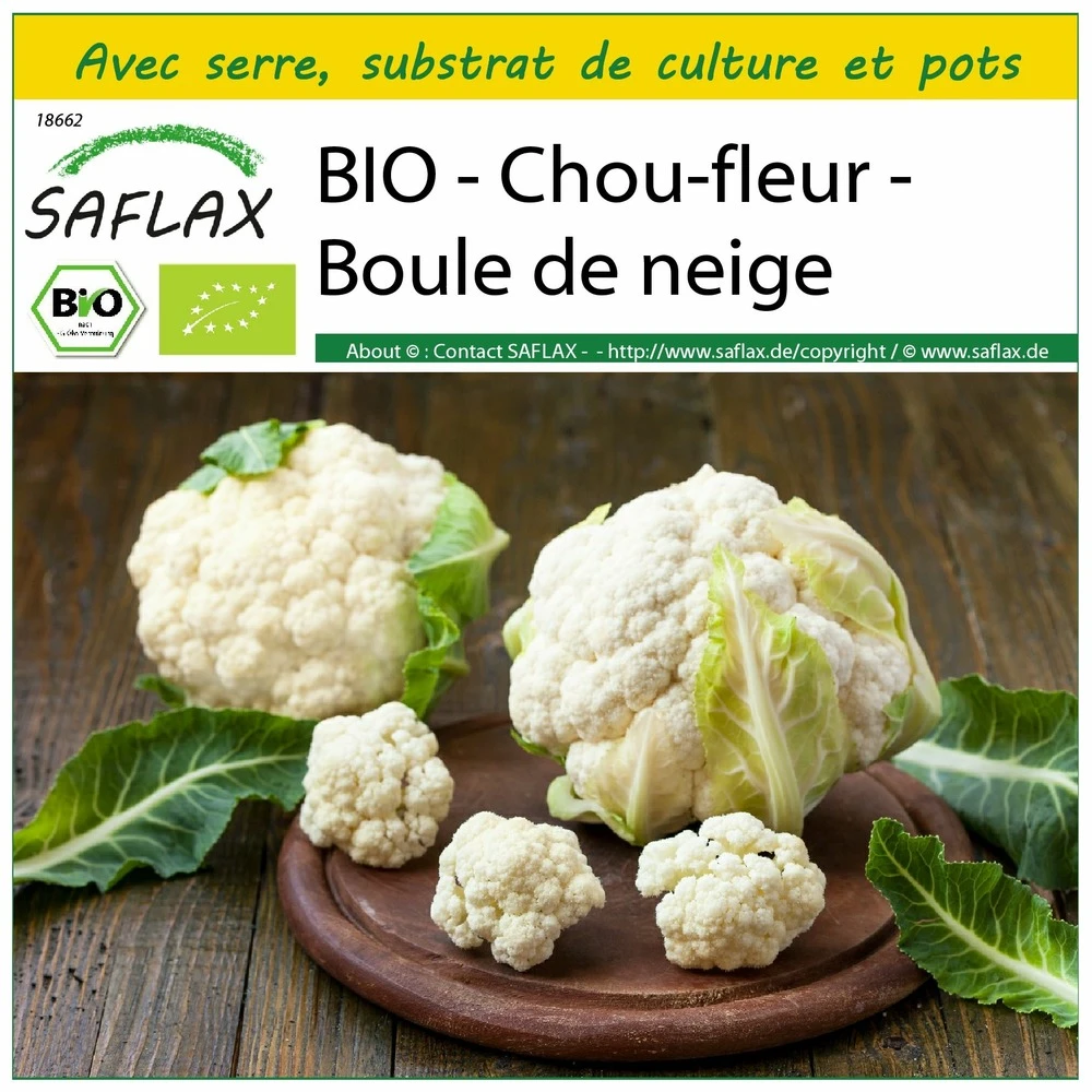 Kit De Culture - Bio - Chou-fleur - Boule De Neige - 70 Graines - Brassica Oleracea Var. Botrytis 3 Kit De Culture - Bio - Chou-fleur - Boule De Neige - 70 Graines - Brassica Oleracea Var. Botrytis