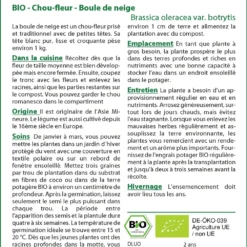 Kit De Culture - Bio - Chou-fleur - Boule De Neige - 70 Graines - Brassica Oleracea Var. Botrytis 11 Kit De Culture - Bio - Chou-fleur - Boule De Neige - 70 Graines - Brassica Oleracea Var. Botrytis -Seve Nature Soldes Boutique 6406413d407ee0.82661291
