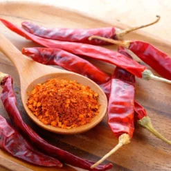 Kit De Culture - Bio - Piment - De Cayenne Long Slim - 10 Graines - Capsicum Annuum 13 Kit De Culture - Bio - Piment - De Cayenne Long Slim - 10 Graines - Capsicum Annuum -Seve Nature Soldes Boutique 64064142c2bfe4.21145038