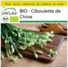 Kit De Culture - Bio - Ciboulette De Chine - 100 Graines - Allium Tuberosum 1 Kit De Culture - Bio - Ciboulette De Chine - 100 Graines - Allium Tuberosum -Seve Nature Soldes Boutique 6406414b0c1685.25541867