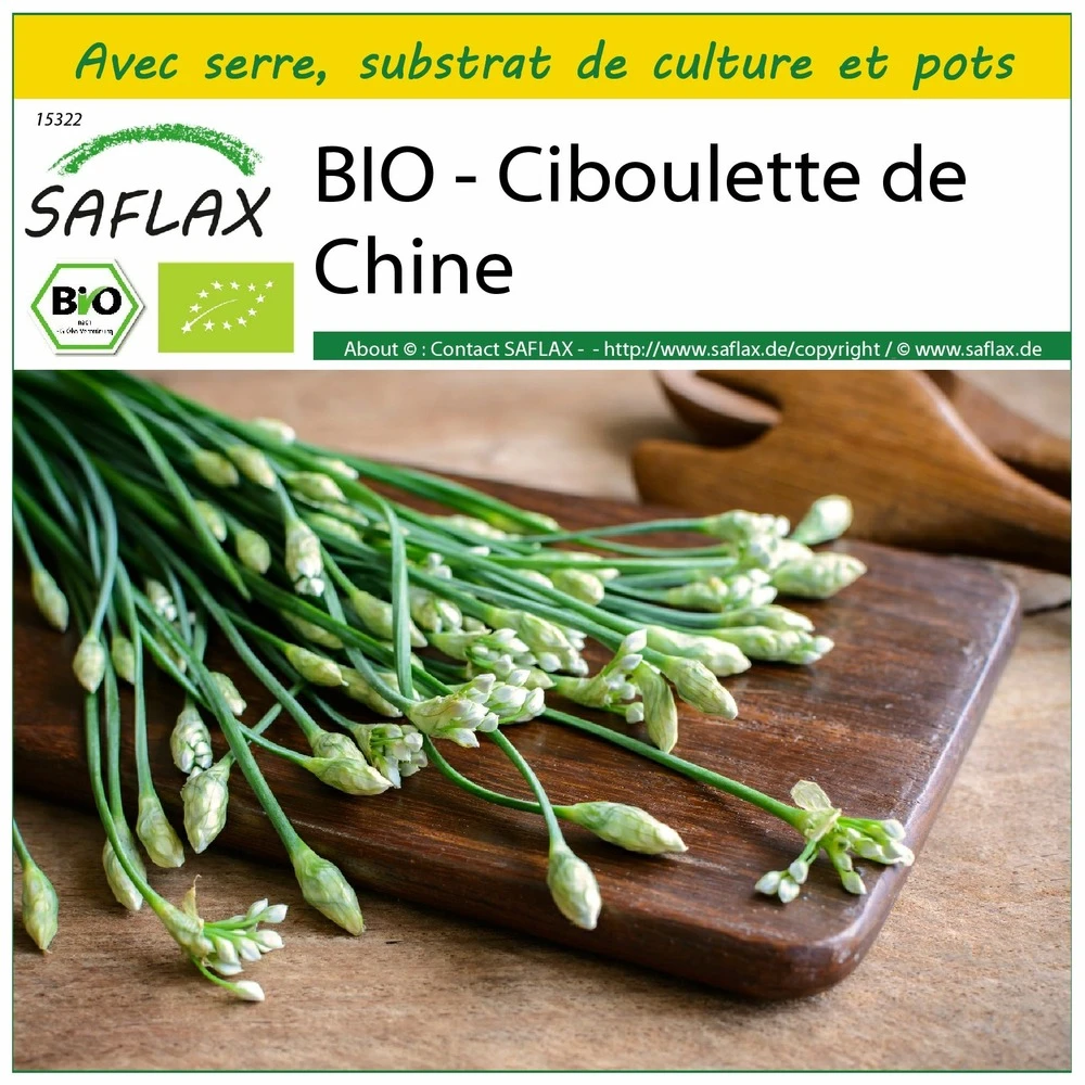 Kit De Culture - Bio - Ciboulette De Chine - 100 Graines - Allium Tuberosum 3 Kit De Culture - Bio - Ciboulette De Chine - 100 Graines - Allium Tuberosum