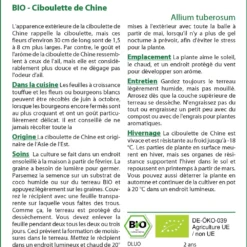 Kit De Culture - Bio - Ciboulette De Chine - 100 Graines - Allium Tuberosum 11 Kit De Culture - Bio - Ciboulette De Chine - 100 Graines - Allium Tuberosum -Seve Nature Soldes Boutique 6406414b121373.86359171