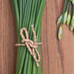 Kit De Culture - Bio - Ciboulette De Chine - 100 Graines - Allium Tuberosum 14 Kit De Culture - Bio - Ciboulette De Chine - 100 Graines - Allium Tuberosum -Seve Nature Soldes Boutique 6406414b24e430.90625062