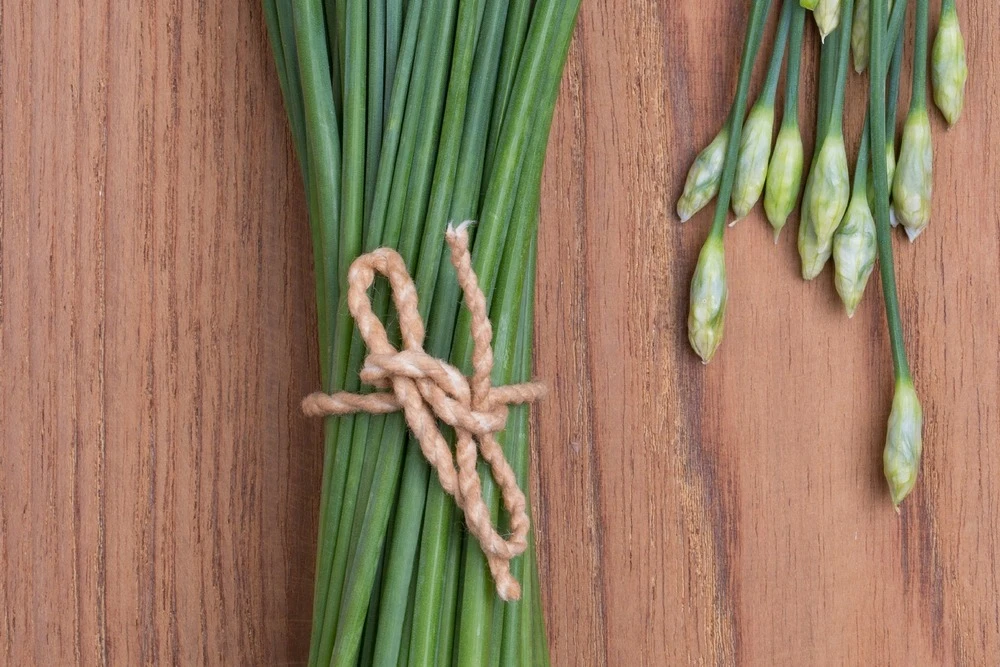 Kit De Culture - Bio - Ciboulette De Chine - 100 Graines - Allium Tuberosum 8 Kit De Culture - Bio - Ciboulette De Chine - 100 Graines - Allium Tuberosum â Image 6