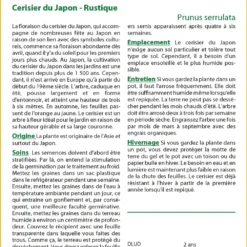 Kit De Culture - Cerisier Du Japon - 30 Graines - Prunus Serrulata 11 Kit De Culture - Cerisier Du Japon - 30 Graines - Prunus Serrulata -Seve Nature Soldes Boutique 64064157603ec8.18852446