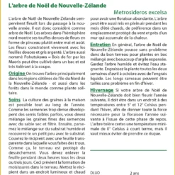 Kit De Culture - L'arbre De Noël De Nouvelle-zélande - 300 Graines - Metrosideros Excelsa -Seve Nature Soldes Boutique 6406415d43fb13.76934822