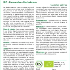 Kit De Culture - Bio - Concombre - Marketmore - 20 Graines - Cucumis Sativus 11 Kit De Culture - Bio - Concombre - Marketmore - 20 Graines - Cucumis Sativus -Seve Nature Soldes Boutique 640641696a9b18.60145631