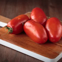 Kit De Culture - Bio - Tomate - San Marzano - 15 Graines - Solanum Lycopersicum 15 Kit De Culture - Bio - Tomate - San Marzano - 15 Graines - Solanum Lycopersicum -Seve Nature Soldes Boutique 6406416b4f7255.16851216