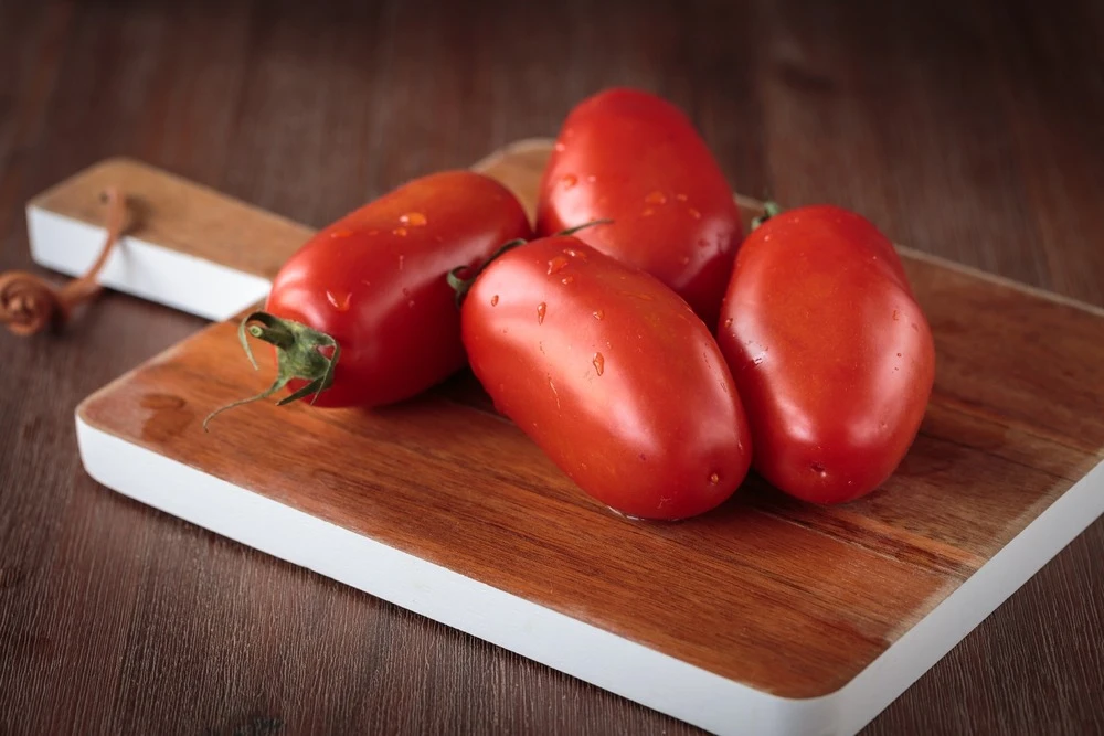 Kit De Culture - Bio - Tomate - San Marzano - 15 Graines - Solanum Lycopersicum 9 Kit De Culture - Bio - Tomate - San Marzano - 15 Graines - Solanum Lycopersicum – Image 7