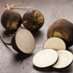 Kit De Culture - Bio - Radis - Noir - 100 Graines - Raphanus Sativus 13 Kit De Culture - Bio - Radis - Noir - 100 Graines - Raphanus Sativus -Seve Nature Soldes Boutique 64064173d81689.02005216