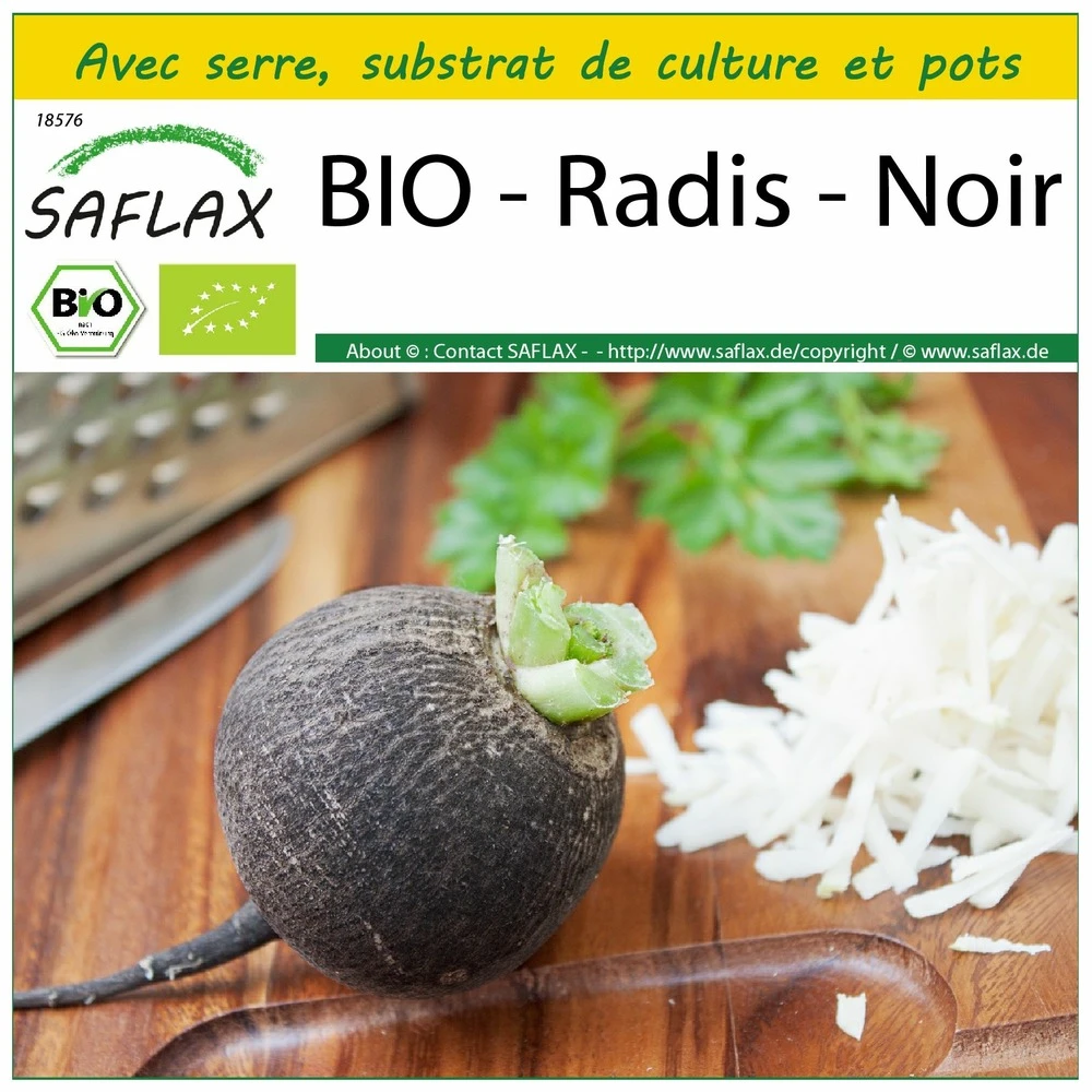 Kit De Culture - Bio - Radis - Noir - 100 Graines - Raphanus Sativus 3 Kit De Culture - Bio - Radis - Noir - 100 Graines - Raphanus Sativus