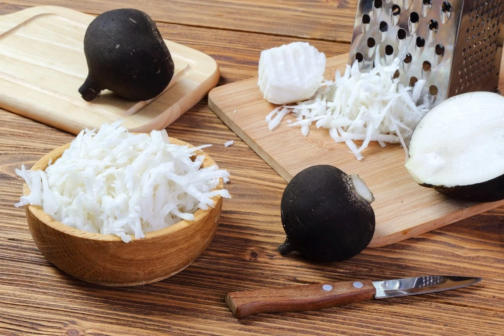 Kit De Culture - Bio - Radis - Noir - 100 Graines - Raphanus Sativus 6 Kit De Culture - Bio - Radis - Noir - 100 Graines - Raphanus Sativus – Image 4