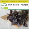 Kit De Culture - Bio - Basilic - Pourpre - 400 Graines - Ocimum Basilicum 2 Kit De Culture - Bio - Basilic - Pourpre - 400 Graines - Ocimum Basilicum -Seve Nature Soldes Boutique 6406417779c0a9.51217197
