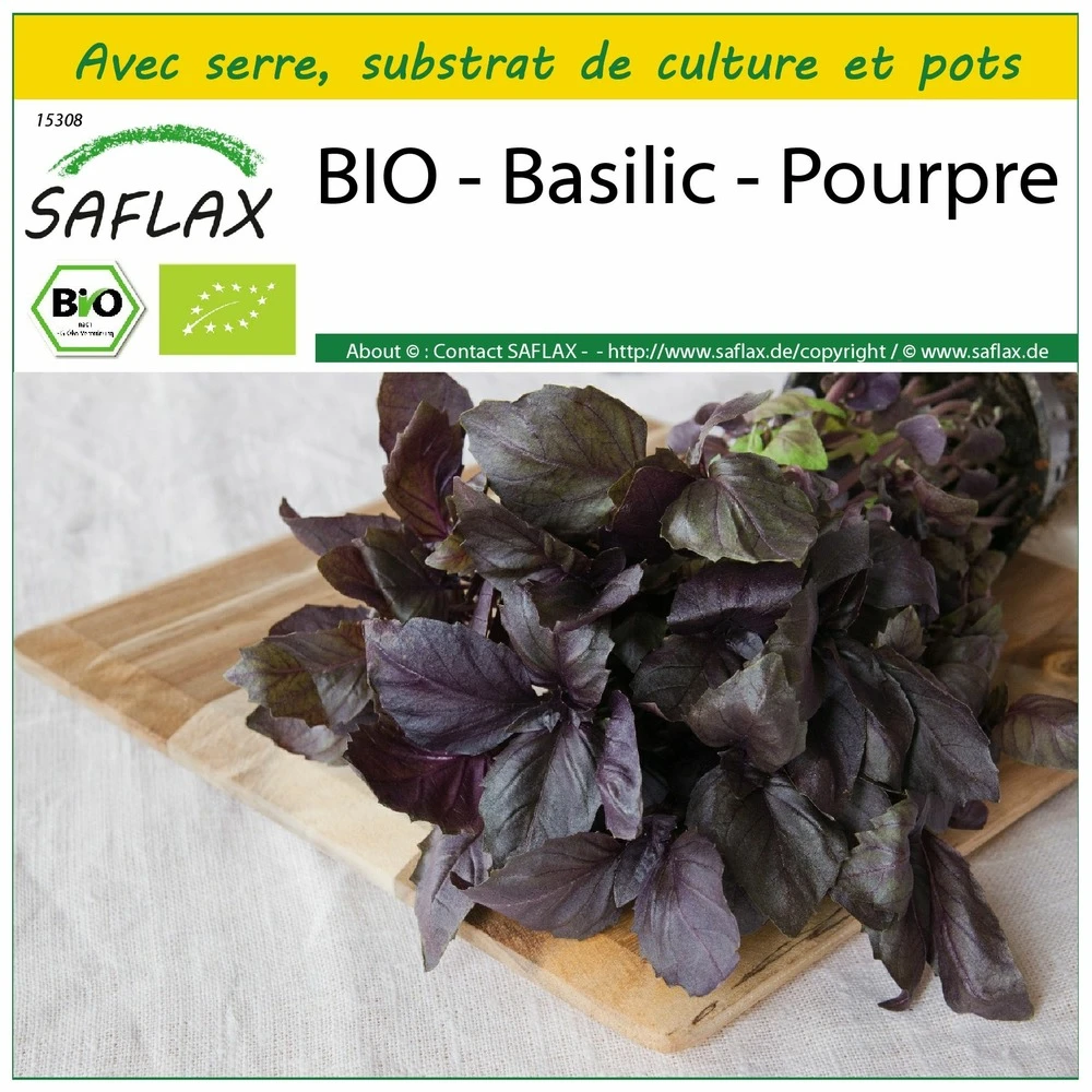 Kit De Culture - Bio - Basilic - Pourpre - 400 Graines - Ocimum Basilicum 3 Kit De Culture - Bio - Basilic - Pourpre - 400 Graines - Ocimum Basilicum