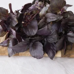 Kit De Culture - Bio - Basilic - Pourpre - 400 Graines - Ocimum Basilicum 13 Kit De Culture - Bio - Basilic - Pourpre - 400 Graines - Ocimum Basilicum -Seve Nature Soldes Boutique 6406417786e992.51293442