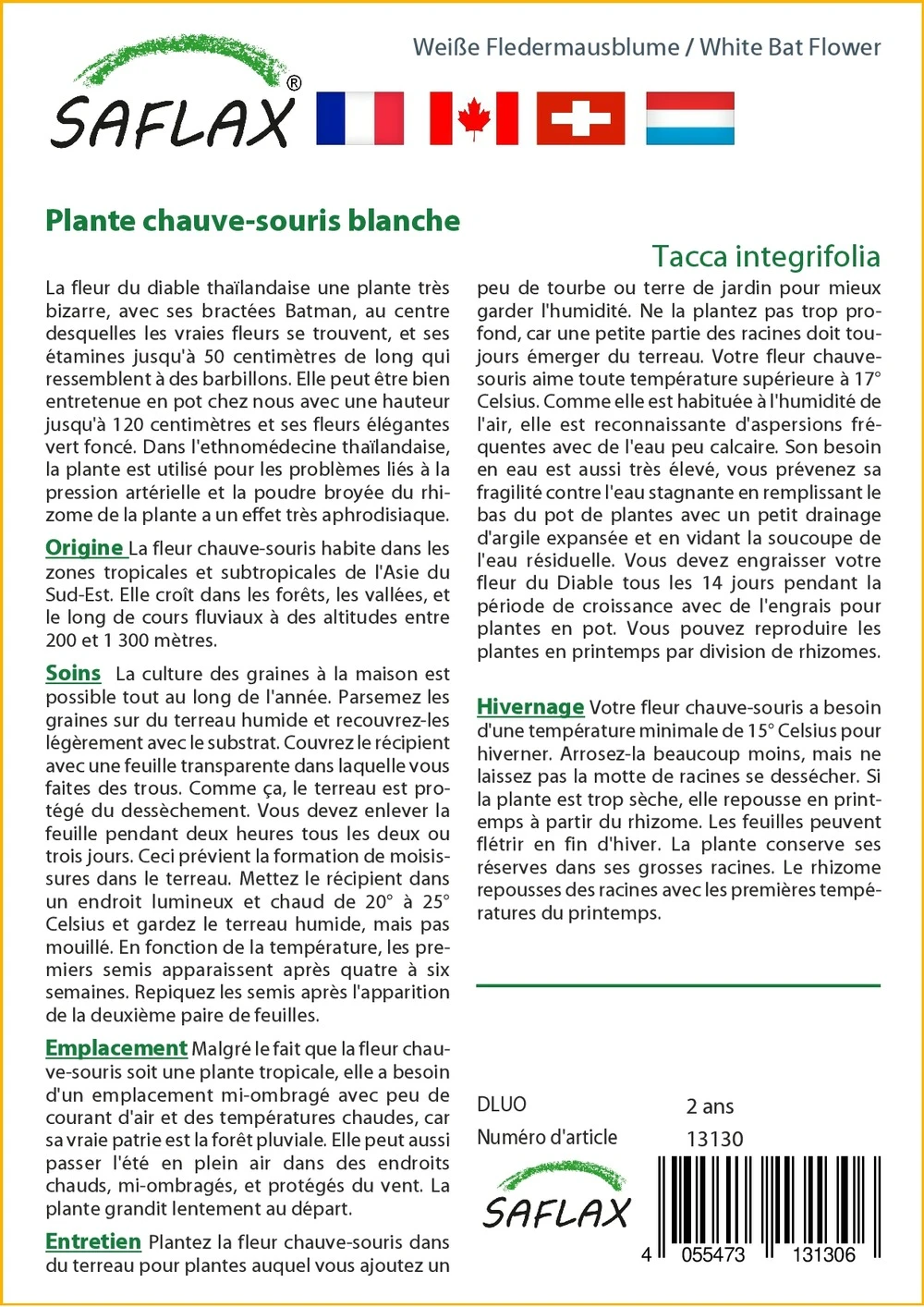 Kit De Culture - Plante Chauve-souris Blanche - 10 Graines - Tacca Integrifolia 4 Kit De Culture - Plante Chauve-souris Blanche - 10 Graines - Tacca Integrifolia – Image 3