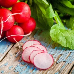 Kit De Culture - Bio - Radis - Cherry Bell - 100 Graines - Raphanus Sativus 14 Kit De Culture - Bio - Radis - Cherry Bell - 100 Graines - Raphanus Sativus -Seve Nature Soldes Boutique 640641a631b644.14920756