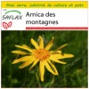 Kit De Culture - Arnica Des Montagnes - 40 Graines - Arnica Montana 2 Kit De Culture - Arnica Des Montagnes - 40 Graines - Arnica Montana -Seve Nature Soldes Boutique 640641a909b7e4.18340636