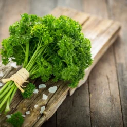 Kit De Culture - Bio - Persil Frisé - 800 Graines - Petroselinum Crispum 14 Kit De Culture - Bio - Persil Frisé - 800 Graines - Petroselinum Crispum -Seve Nature Soldes Boutique 640641ae9189a2.76545135