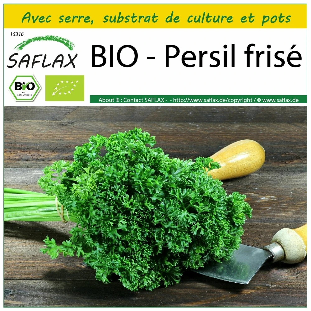 Kit De Culture - Bio - Persil Frisé - 800 Graines - Petroselinum Crispum 3 Kit De Culture - Bio - Persil Frisé - 800 Graines - Petroselinum Crispum