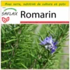 Kit De Culture - Romarin - 100 Graines - Rosmarinus Officinalis 2 Kit De Culture - Romarin - 100 Graines - Rosmarinus Officinalis -Seve Nature Soldes Boutique 640641bc616d86.74543982
