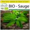 Kit De Culture - Bio - Sauge - 60 Graines - Salvia Officinalis 1 Kit De Culture - Bio - Sauge - 60 Graines - Salvia Officinalis -Seve Nature Soldes Boutique 640641bf5e15a5.12915885