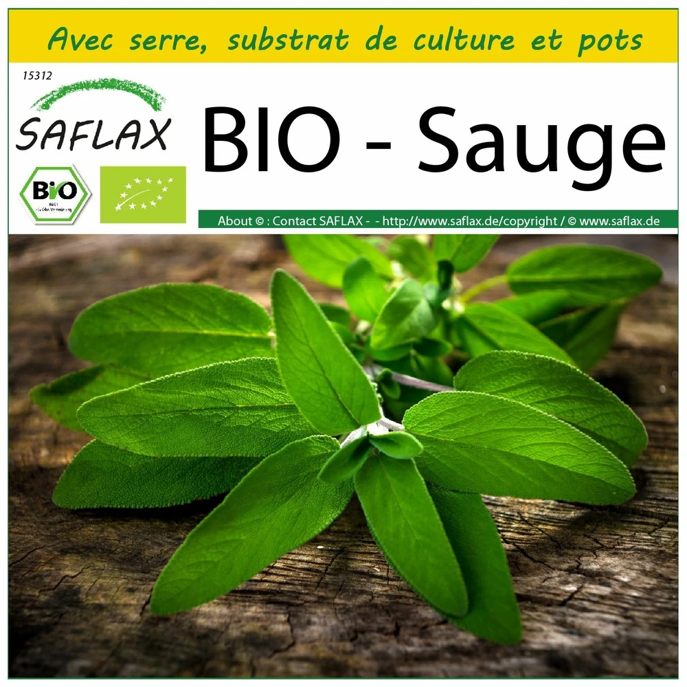 Kit De Culture - Bio - Sauge - 60 Graines - Salvia Officinalis 3 Kit De Culture - Bio - Sauge - 60 Graines - Salvia Officinalis