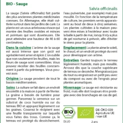 Kit De Culture - Bio - Sauge - 60 Graines - Salvia Officinalis 11 Kit De Culture - Bio - Sauge - 60 Graines - Salvia Officinalis -Seve Nature Soldes Boutique 640641bf633633.78306731