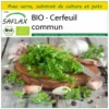 Kit De Culture - Bio - Cerfeuil Commun - 800 Graines - Anthriscus Cerefolium 1 Kit De Culture - Bio - Cerfeuil Commun - 800 Graines - Anthriscus Cerefolium -Seve Nature Soldes Boutique 640641c89caba6.91074141