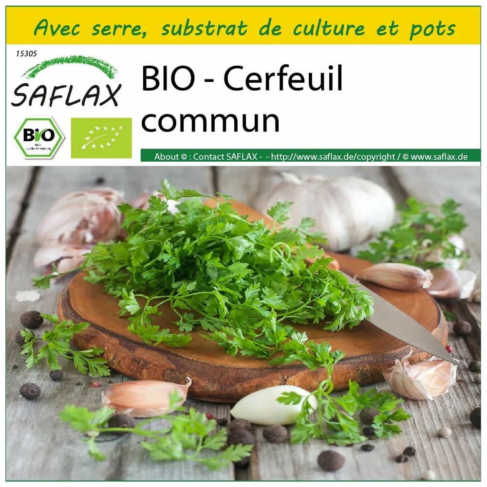 Kit De Culture - Bio - Cerfeuil Commun - 800 Graines - Anthriscus Cerefolium 3 Kit De Culture - Bio - Cerfeuil Commun - 800 Graines - Anthriscus Cerefolium