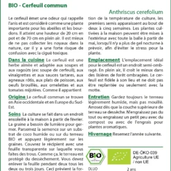 Kit De Culture - Bio - Cerfeuil Commun - 800 Graines - Anthriscus Cerefolium 11 Kit De Culture - Bio - Cerfeuil Commun - 800 Graines - Anthriscus Cerefolium -Seve Nature Soldes Boutique 640641c8a98f11.52285899