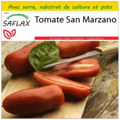 Kit De Culture - Tomate San Marzano - 10 Graines - Lycopersicon Esculentum