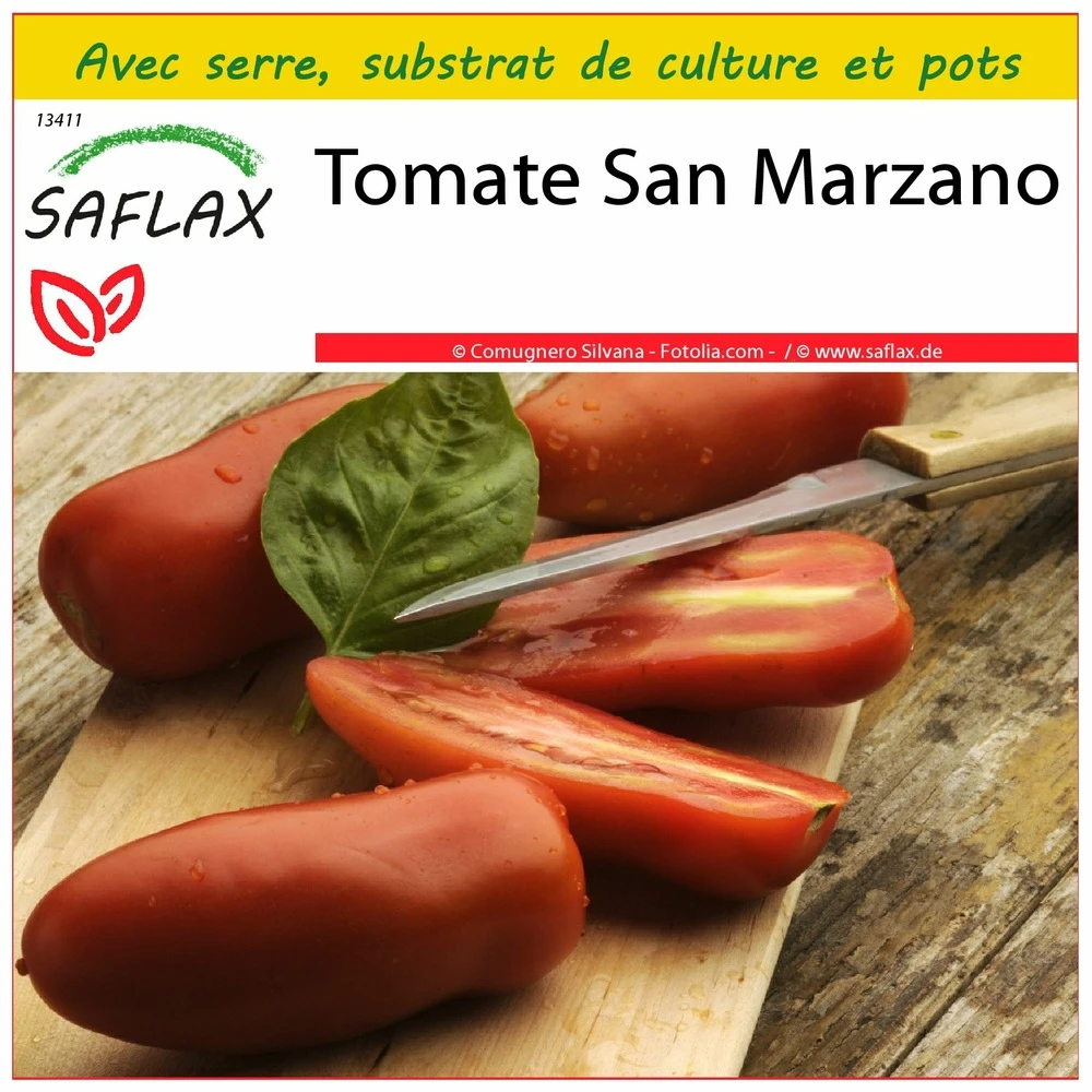 Kit De Culture - Tomate San Marzano - 10 Graines - Lycopersicon Esculentum 3 Kit De Culture - Tomate San Marzano - 10 Graines - Lycopersicon Esculentum