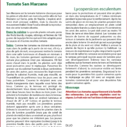 Kit De Culture - Tomate San Marzano - 10 Graines - Lycopersicon Esculentum 9 Kit De Culture - Tomate San Marzano - 10 Graines - Lycopersicon Esculentum -Seve Nature Soldes Boutique 640641fa3b6bc7.11460226