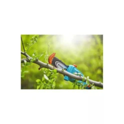 Gardena Elagueuse Sur Perche Tcs 20/18v P4a Sans Batterie 10 Gardena Elagueuse Sur Perche Tcs 20/18v P4a Sans Batterie -Seve Nature Soldes Boutique 641da6726f15b1.32290024