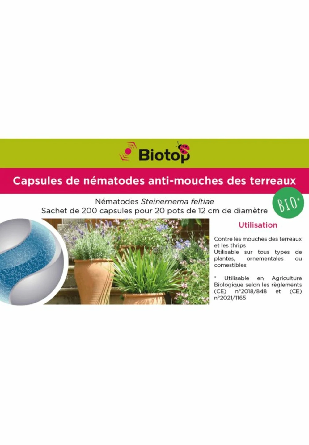 Nématodes Mouches Des Terreaux En Micro-capsules Par 200 3 Nématodes Mouches Des Terreaux En Micro-capsules Par 200