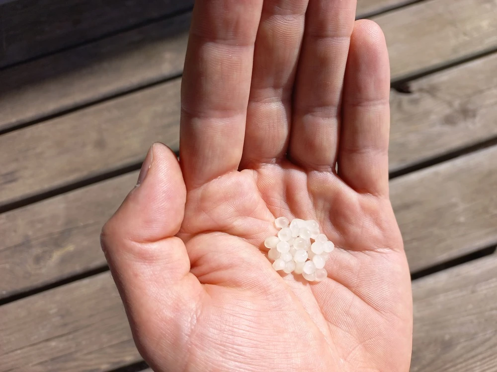 Nématodes Mouches Des Terreaux En Micro-capsules Par 200 5 Nématodes Mouches Des Terreaux En Micro-capsules Par 200 – Image 3