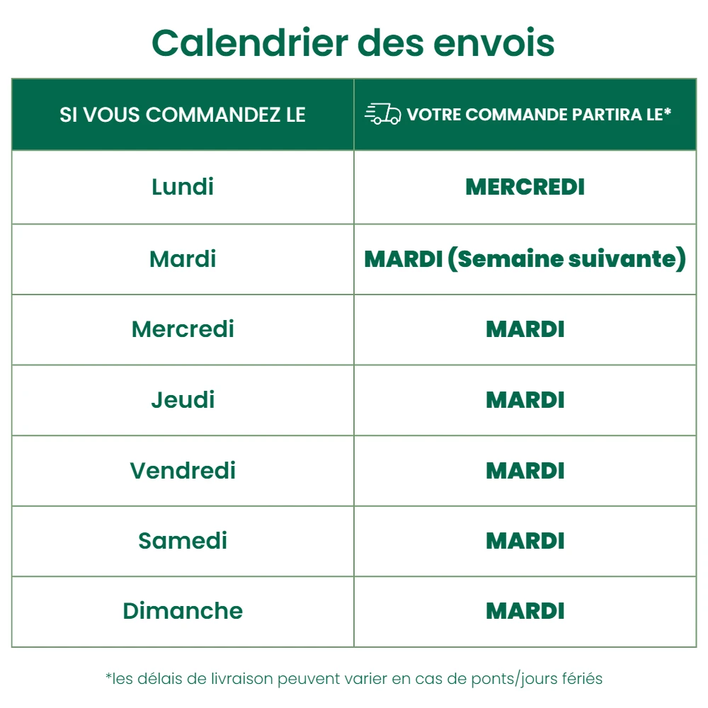 350 Larves Coccinelles Anti-pucerons - Coccifly 4 350 Larves Coccinelles Anti-pucerons - Coccifly – Image 2