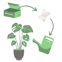 Nématodes Spécifiques Contre Les Otiorhynques 5 Millions -Seve Nature Soldes Boutique 644c0daa0ef981.11544754